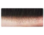 Full French Lace - immagine 3
