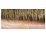 Thin Skin Knot - immagine 4