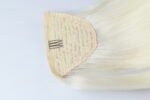 Ponytail - immagine 2