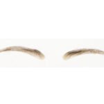 #10 Wide Color#2 Light Density