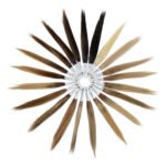 Color Ring WT donna completo